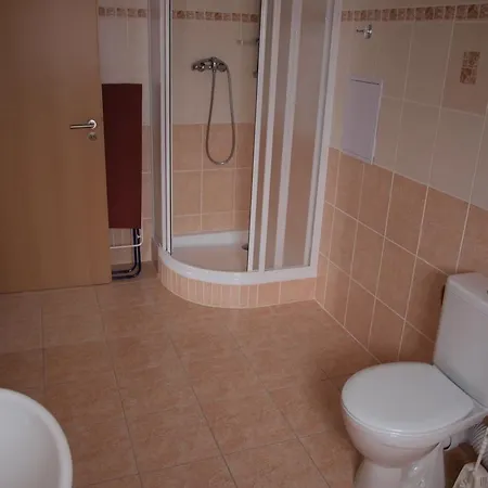 Apartament Viktoria Klinovec *