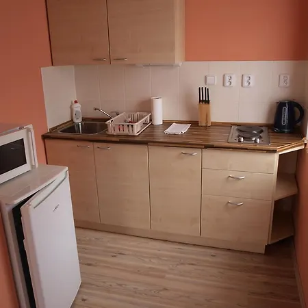 Viktoria Klinovec Apartment *