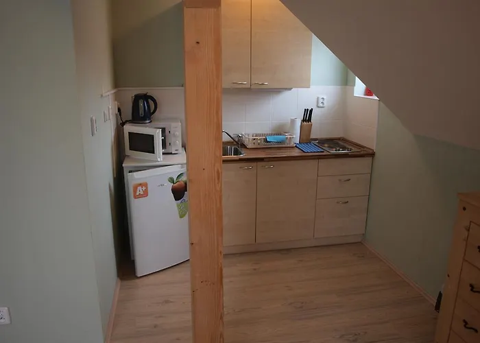 Viktoria Klinovec Apartament *