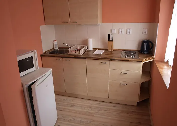 Viktoria Klinovec Apartament *